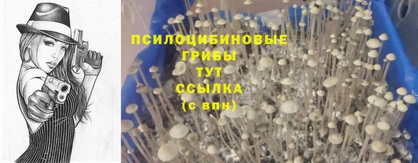 стафф Валдай