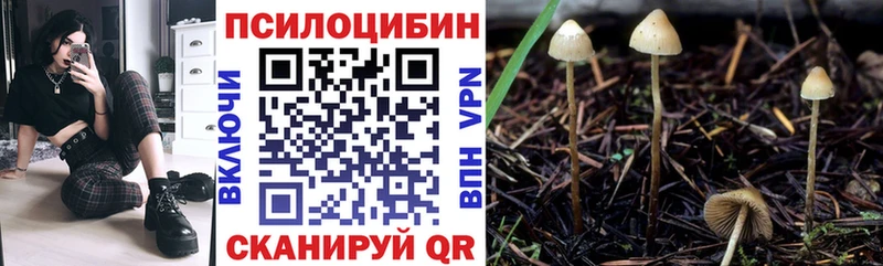 Галлюциногенные грибы прущие грибы сколько стоит Беломорск
