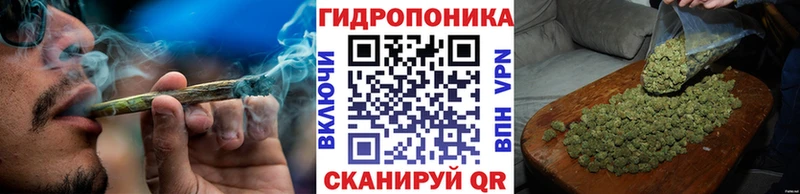Бошки Шишки гибрид Беломорск